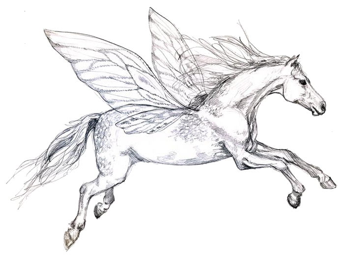 Flying horse
